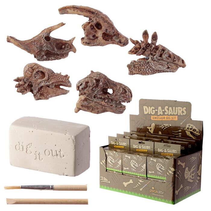 Zestaw archeologiczny 'Wykop to sam' - Czaszka dinozaura