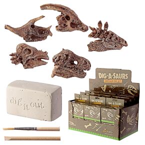 Zestaw archeologiczny 'Wykop to sam' - Czaszka dinozaura