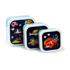 Pudełko na lunch, zestaw 3 (M/L/XL) - Marine Kingdom