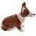 Solniczka i pieprzniczka - Królowa i Corgi