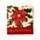 Pilnik do paznokci-zestaw- Christmas Botanicals